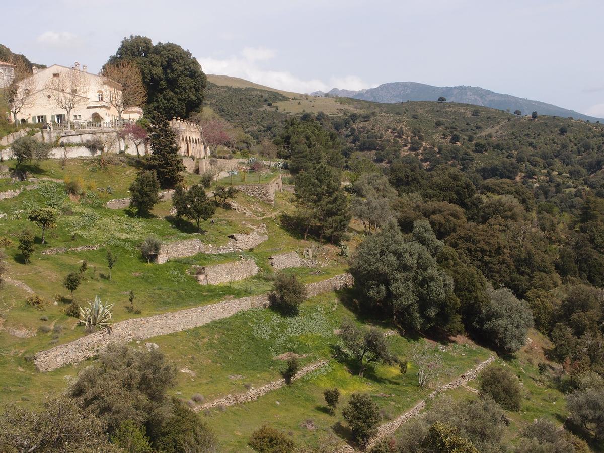 La Ventulella Panzió Moltifao Kültér fotó